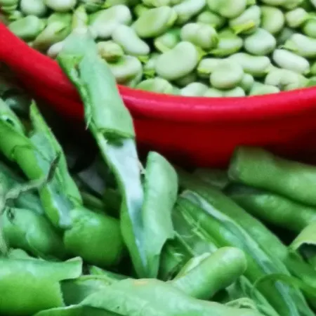 Jagoda Apartamento Lastovo