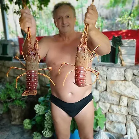Jagoda Lägenhet Lastovo