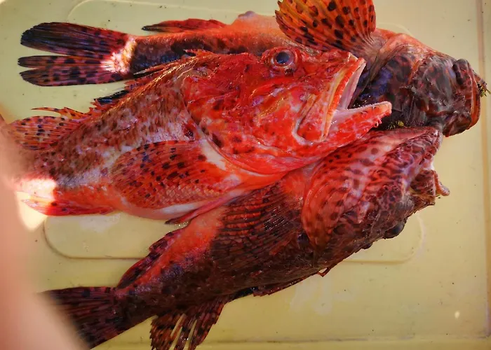 公寓 Jagoda Lastovo