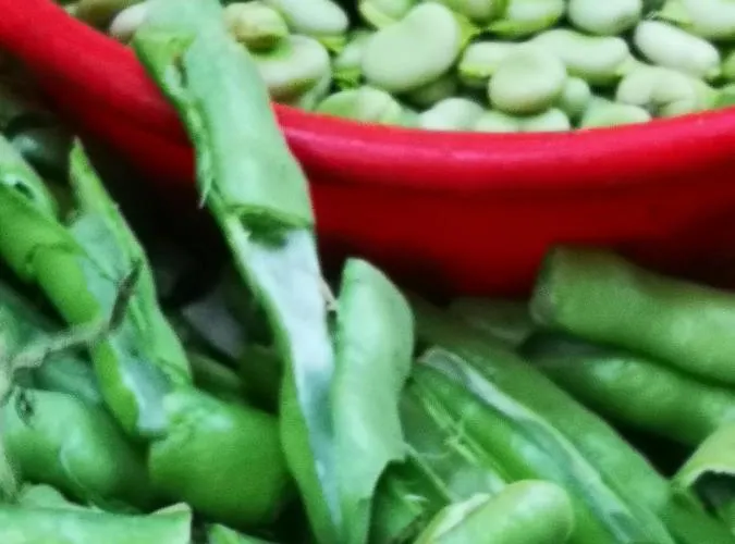 Jagoda 公寓 Lastovo