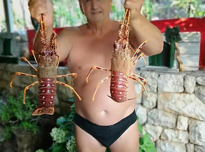 Jagoda 公寓 Lastovo